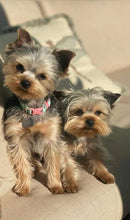 Load image into Gallery viewer, 4x6 Laser Engraved Wood Photo