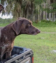 Load image into Gallery viewer, 4x6 Laser Engraved Wood Photo